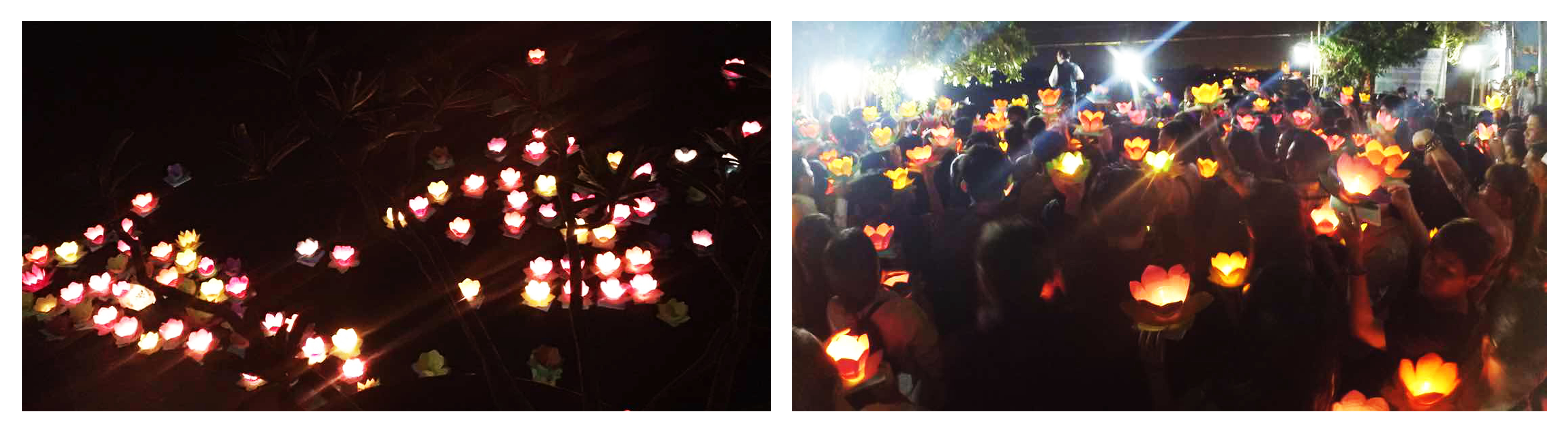 vesak - the lotus.jpg